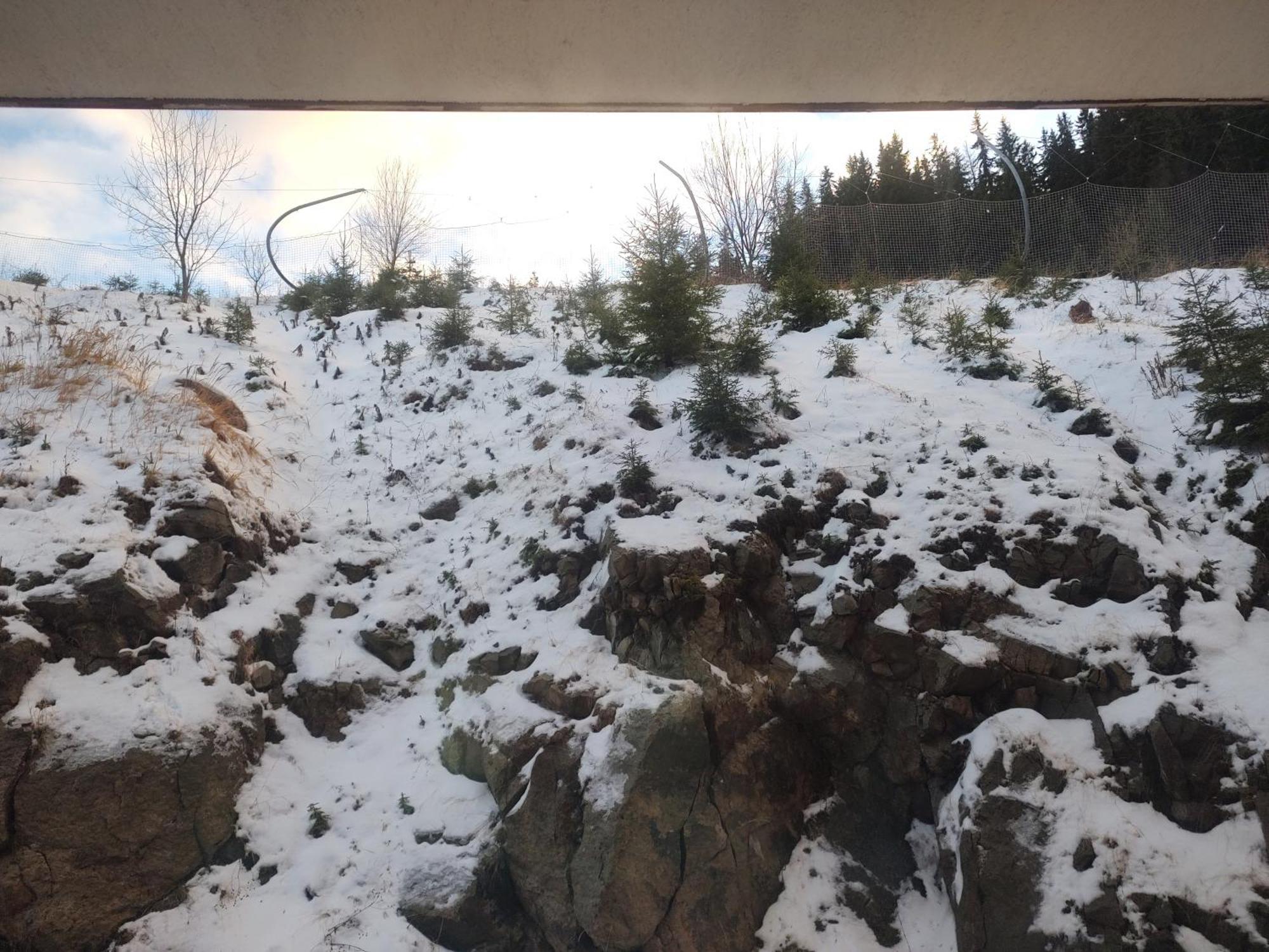 Arendo Ski Apartment In Grand Monastery بامبوروفو المظهر الخارجي الصورة